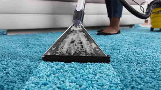 Expert Carpet Cleaning Bongaree